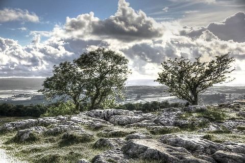 Unbleached Delight Light returning
Clouds retreat.
Slowly the greyness fades and feasts my eyes. Fraxinus excelsior,Geotagged,HDR,United Kingdom