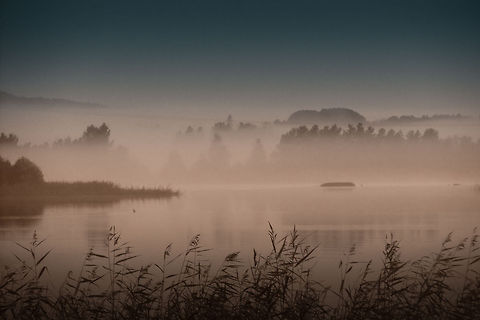 Vanilla base A majestic sight in Swedish dawn.
The lake misted over, 
the sun's eyelashes carefully 
peeking over distant hills. 

All that beauty right from own tent.. Geotagged,Phragmites,Phragmites australis,Sweden