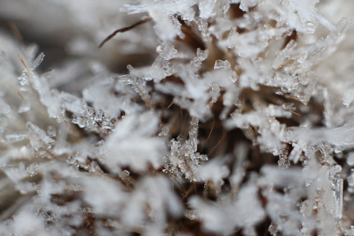 A frosty crystaline A crystal of snow is a wonderful thing<br />
<br />
With texture as fine as a butterfly&#039;s wing;<br />
<br />
With network of atoms like filmy spun lace,<br />
<br />
Or petal arrangement of air flower face. Canon  EF12mm II,Geotagged,The Netherlands,dew,frost,ice,particles,soligor 12mm,soligor 20mm,soligor 36mm