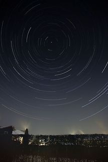 Beneath the stars, or so to say An Elven-maid there was of old,
    A shining star by day:
Her mantle white was hemmed with gold,
    Her shoes of silver-grey.

A star was bound upon her brows,
    A light was on her hair
As sun upon the golden boughs
In Lorien the fair.  Geotagged,Ligustrum ovalifolium,The Netherlands,frost,night,north,star,stars,startrail,trail