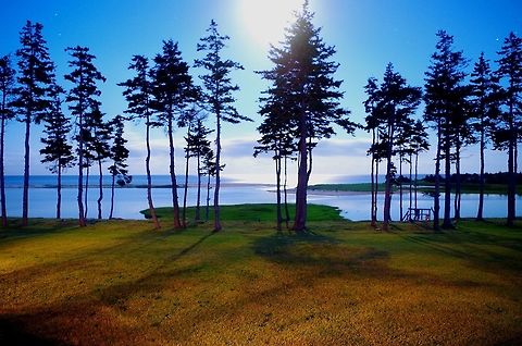 night PEI coast Long exposure making the moon look like the sun on a P.E.I. cliff to the ocean Canada,Geotagged,Long exposure,Night,Summer,p.e.i.