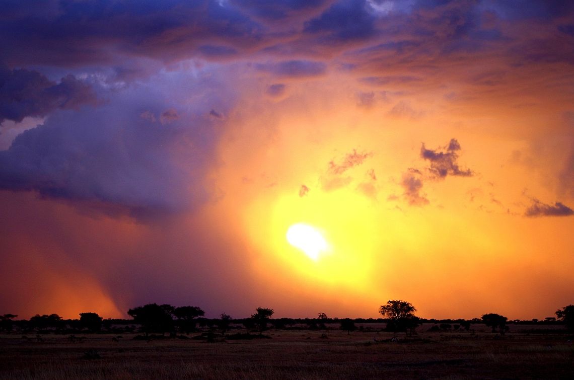sunset_1 acacia trees against a landscape sunsut in the serengeti.  not sure the species of the acacia.  please help.  its umbrella i believe, but not sure Geotagged,Summer,Tanzania,acacia,africa,serengeti,sunset