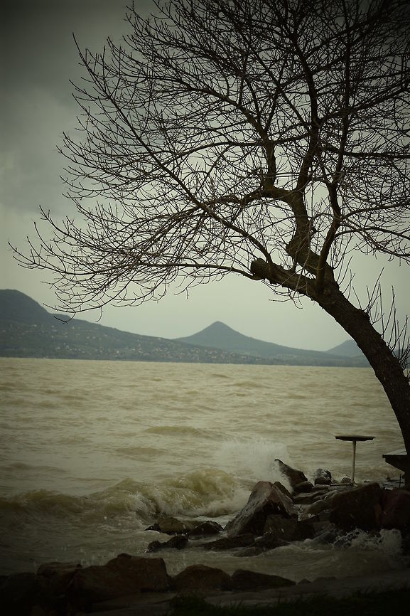Windy lake Windy and stormy weather at the biggest lake in Hungary.  Fall,Geotagged,Hungary