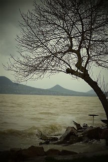 Windy lake Windy and stormy weather at the biggest lake in Hungary.  Fall,Geotagged,Hungary