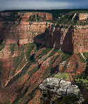 Embracing Solitude This Juniper has one of the best seats in the house overlooking the south rim of the Grand Canyon. Grand Canyon,Juniperus osteosperma
