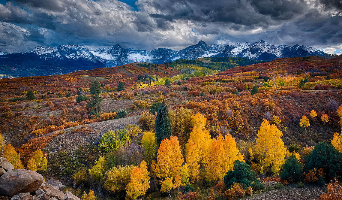 Colorado in Fall Color "Golden Aspen" There are few places in the USA that have this much blend of color and space. The Colorado rocky mountains are truly one of North America&#039;s most spectacular wilderness areas to photograph. Populus tremuloides,Rocky Mountains,aspen,colorado rocky mountains,quaking aspen