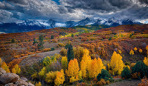 Colorado in Fall Color "Golden Aspen" There are few places in the USA that have this much blend of color and space. The Colorado rocky mountains are truly one of North America's most spectacular wilderness areas to photograph. Populus tremuloides,Rocky Mountains,aspen,colorado rocky mountains,quaking aspen