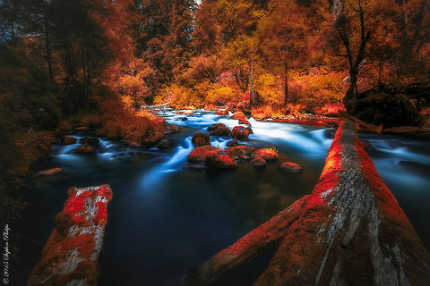 When Green is nearly Gone! A look at nature without green can reveal hidden secrets.  long exposure,red,rivers,water