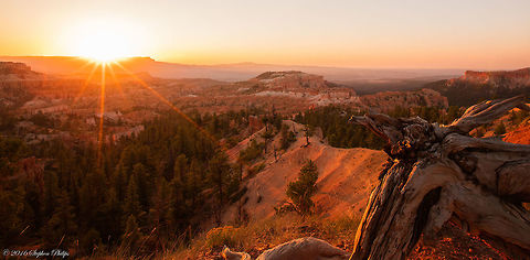 Good Morning A second sunrise image over Bryce Canyon taken in August. A refreshing and invigorating was to start the day. Geotagged,Summer,United States