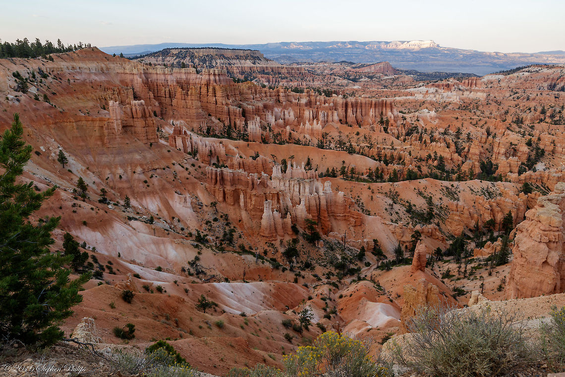 Hoodoos... "for days!" General Description:<br />
Hoodoos are tall skinny spires of rock that protrude from the bottom of arid basins and "broken" lands. Hoodoos are most commonly found in the High Plateaus region of the Colorado Plateau and in the Badlands regions of the Northern Great Plains. While hoodoos are scattered throughout these areas, nowhere in the world are they as abundant as in the northern section of Bryce Canyon National Park. In common usage, the difference between Hoodoos and pinnacles or spires is that hoodoos have a variable thickness often described as having a "totem pole-shaped body." A spire, on the other hand, has a smoother profile or uniform thickness that tapers from the ground upward. Geotagged,Summer,United States