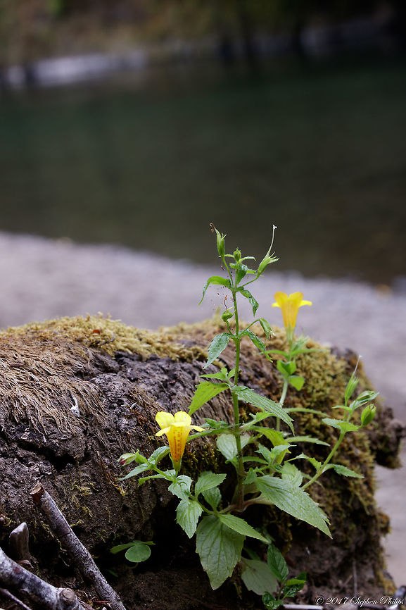 not_sure_5  Geotagged,Summer,United States