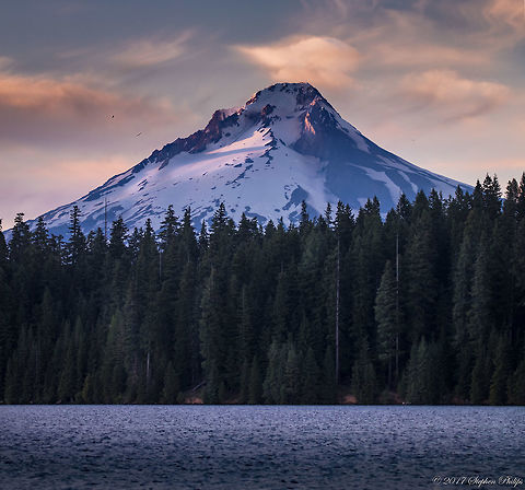 Mt Hood One of the tallest mountains in the cascade range on the west coast of the US. There was a good winter snowfall which allowed the snow to remain in this image in July. There is a glacier on this mountain but rarely do you see this much snow this late in the year. Geotagged,Summer,United States