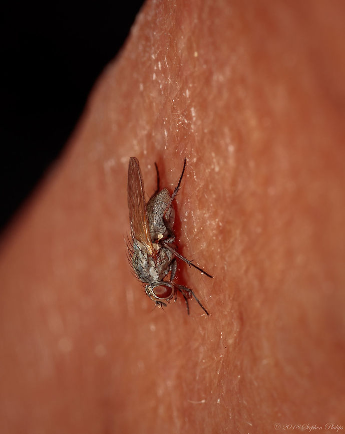 not identified for prospective this was taken on my knee Geotagged,Summer,United States