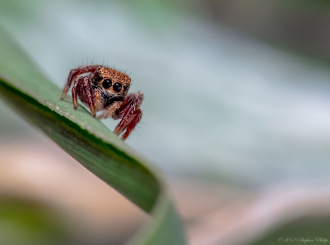 Ready set... woah!  Geotagged,Summer,United States