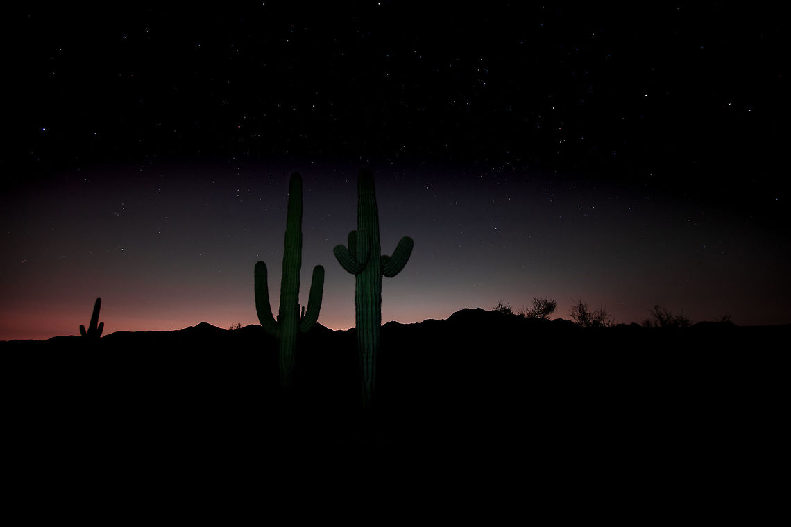 Bring in the Night Since this image has a couple of fantastic Saguaros cactus admiring the sunset in the Arizona desert I thought I would sneak it into JD.  Fall,Geotagged,United States,cactus,desert,desert-scapes,night sky,saguaro,stars,sunset
