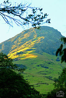 Nature Beauty The Beauty of Wayanad, During a wild safari Kerala,nature,scenary,trek,wayanad