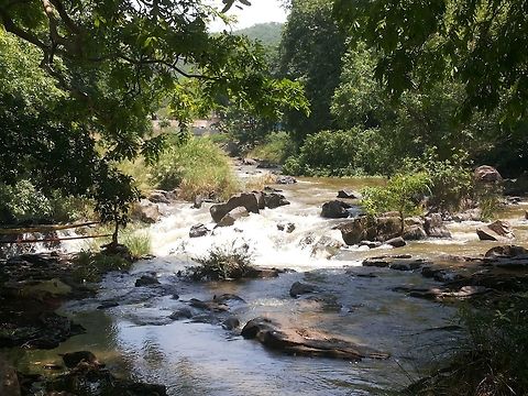Scenery  Geotagged,India,Spring