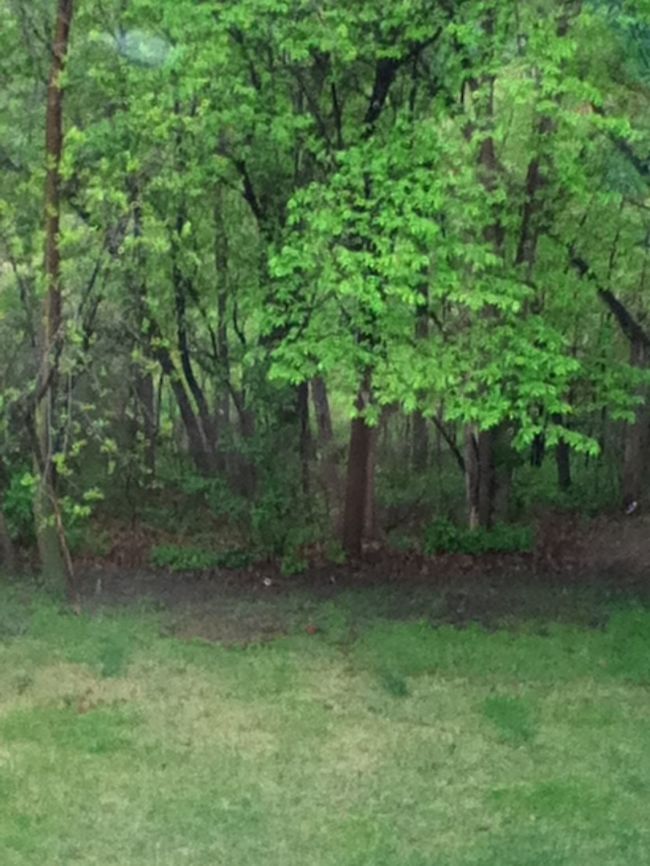 photo-18  Geotagged,Spring,United States