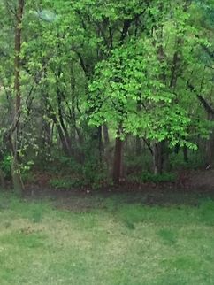 photo-18  Geotagged,Spring,United States