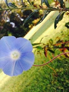 Beauty in one picture  Geotagged,Summer,United States