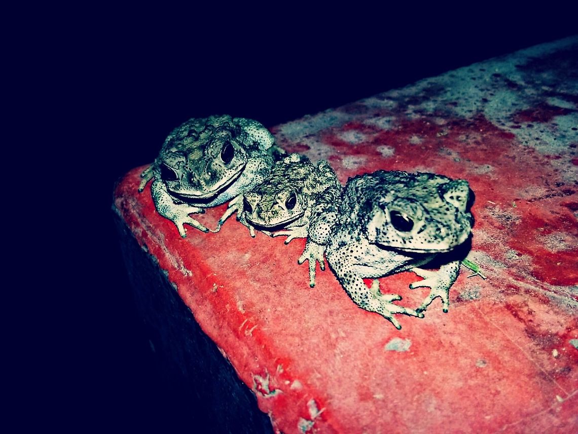 PicsArt_06-30-12.50_.34_