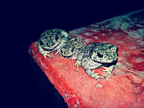 PicsArt_06-30-12.50_.34_