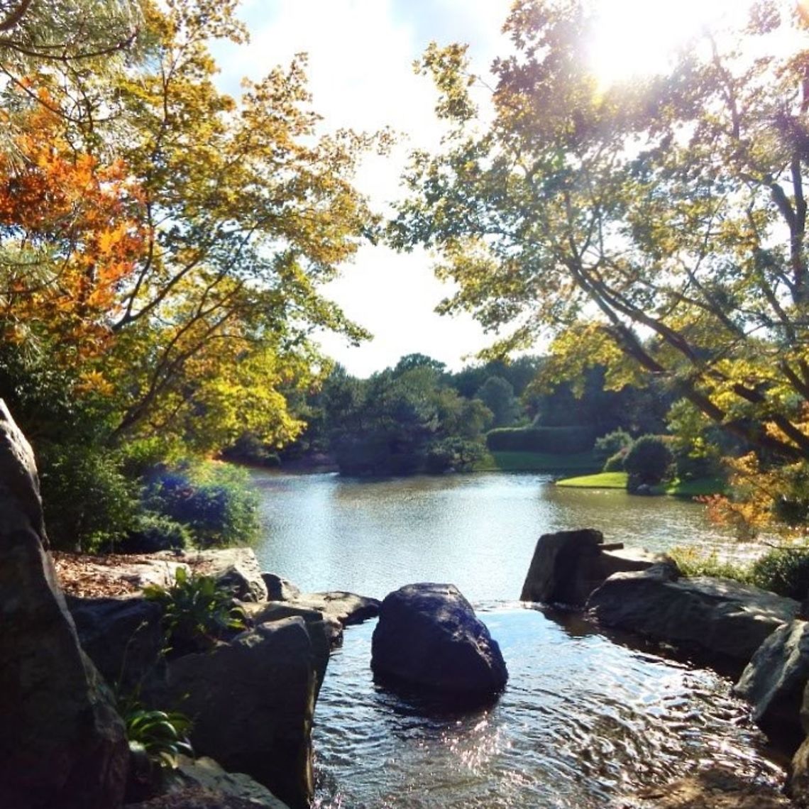 Botanical Gardens This is a garden with a variety of different plants from sifferent countries and climates. The Botanical Gardens are located in St. Louis Missouri of the USA. They have most every plant you could imagine along with their beautiful landscape work. Botanical Gardens,fall,garden,lake,landscape,stones,sunlight,trees,water