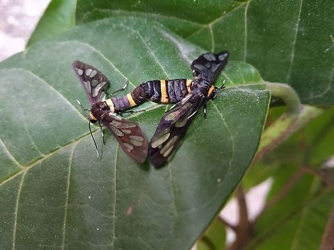 Let the love fly 1  Fall,Geotagged