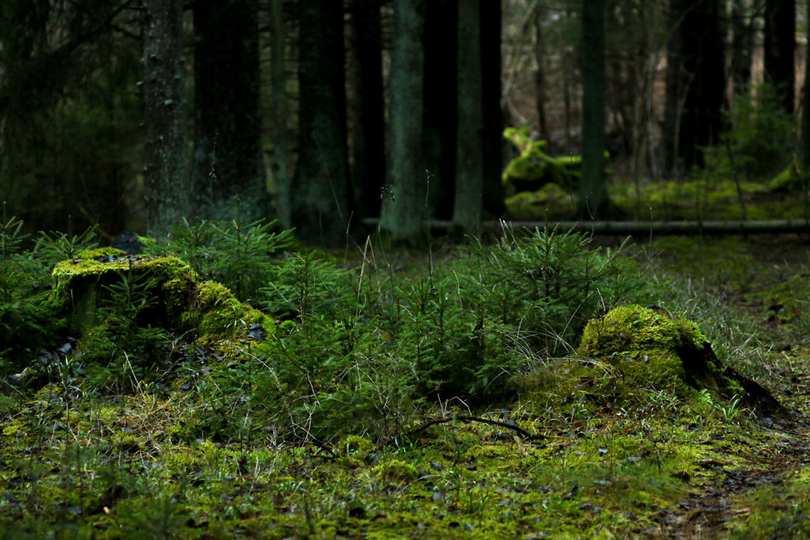 23557276840_15fb7ab7ed_b[1]