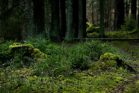 23557276840_15fb7ab7ed_b[1]