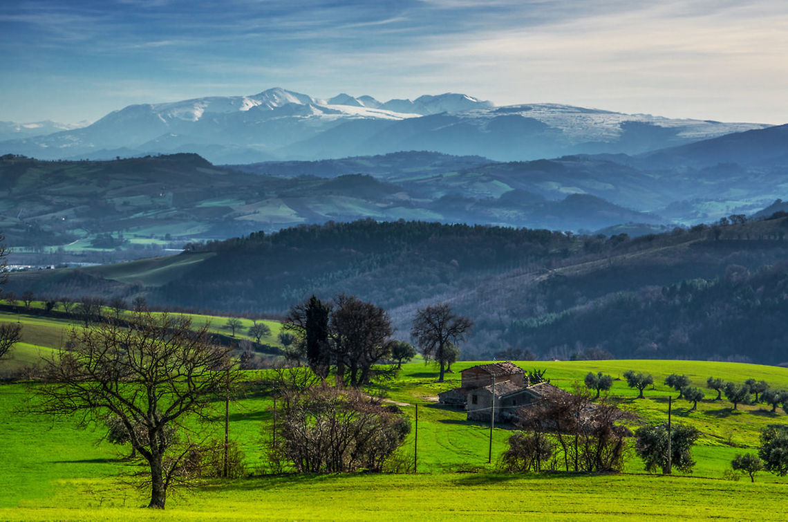 24419761853_c944a4b680_b[1]