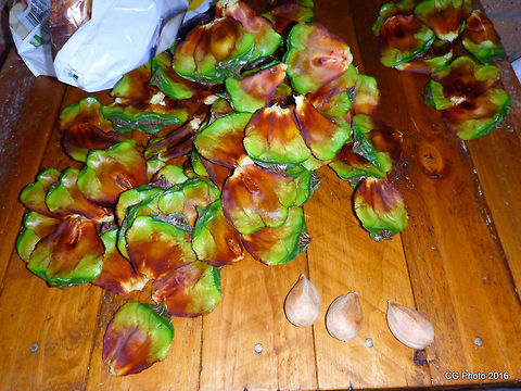 Bunya Nut Seeds  Araucaria bidwillii,Australia,Bunya pine,Geotagged,Summer