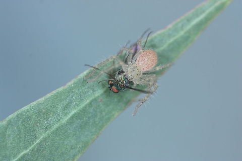You are lunch!  Australia,Geotagged,Summer