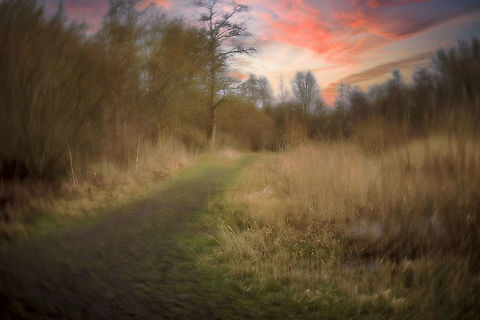 Droom weg in de woods.  Geotagged,Nederland,Winter