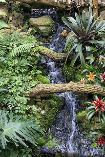 Waterfall  Geotagged,Netherlands,Spring