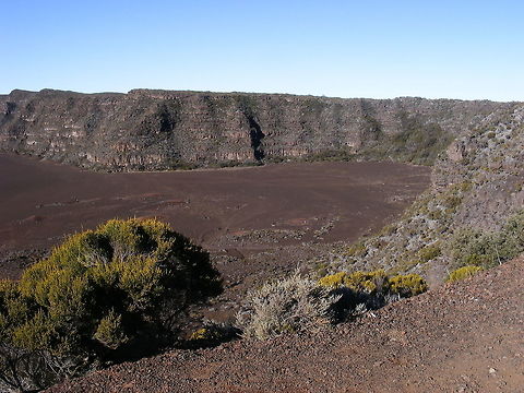 Technically a landscape but..... They said no life exists here. But I know differently! Lichen, ferns, shrubs can all be found. Geotagged,Reunion,Reunion 20016,Winter,signs of life,volcanic craters