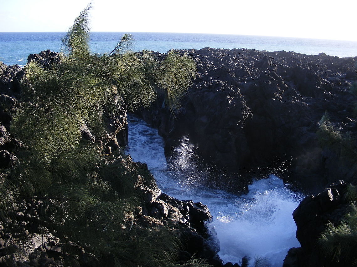 Made by collapsed lava flows in Reunion Pahoehoe and Ah-Ha lava flows make lava tubes. This one collapsed hundreds of years ago allowing the sea to rush in.<br />
Small stunted trees are colonising the site. Geotagged,Lava flows,Reunion,Winter,regeneration