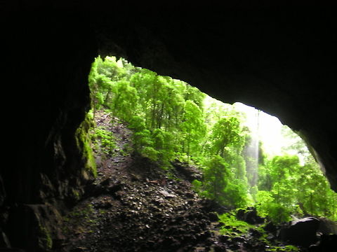 View from Deer Cave, Borneo 2004 After a long climb through the caves it was nice to see daylight. Borneo rainforest,Caves