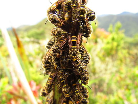 -My adventures have given me everything  Ecuador,Fall,Geotagged