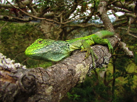 -Smile..  Ecuador,Geotagged,Winter