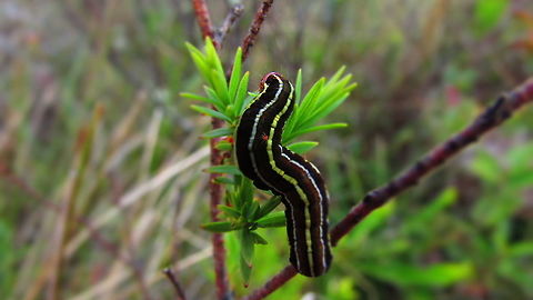 -The flag of perfection..  Ecuador,Fall,Geotagged