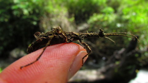 -Unknown friend..  Ecuador,Fall,Geotagged