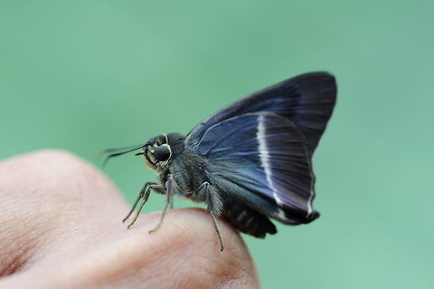 please id thank you from chantathean waterfall Thailand Geotagged,Spring,Thailand