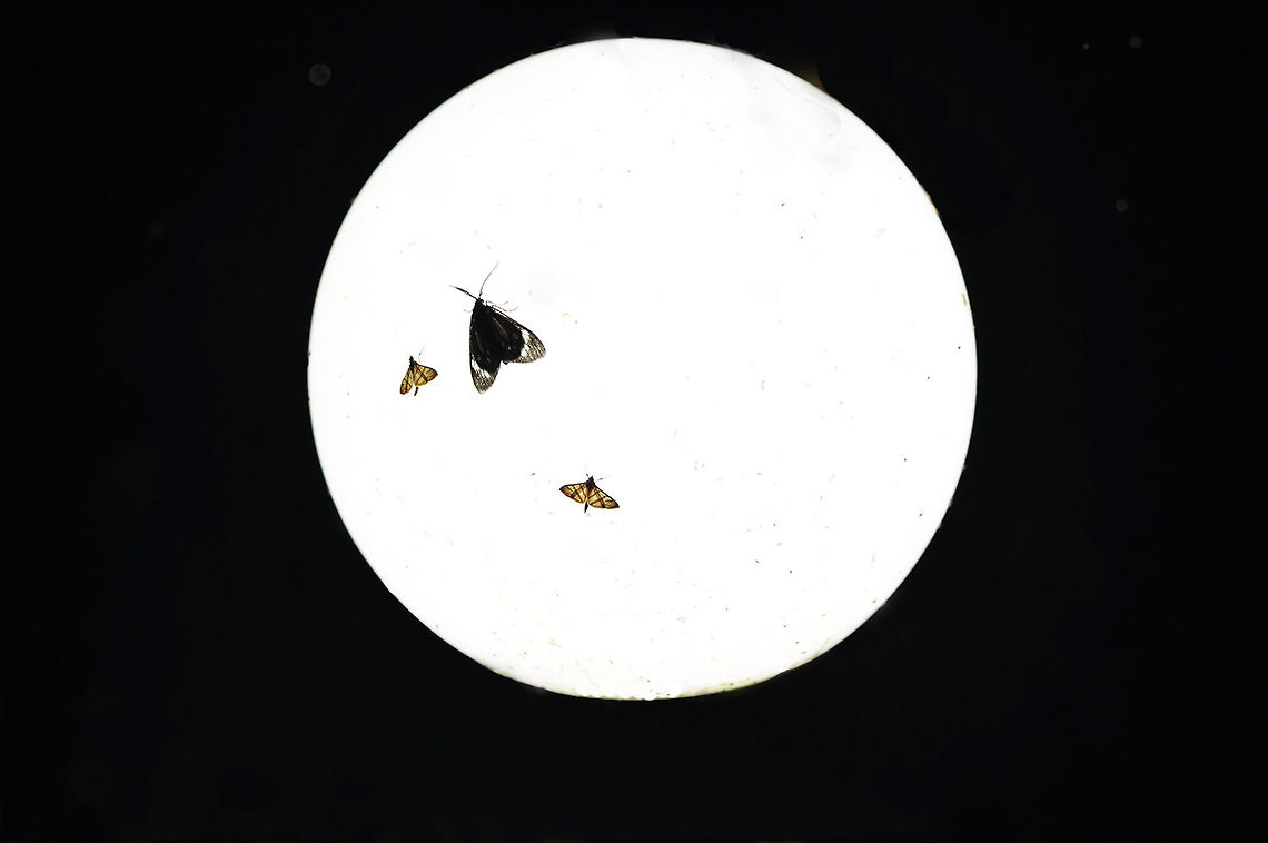moth & moon >_<"  Geotagged,Thailand