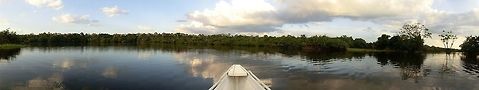 Panorama of the Amazon Basin near the rio Negro Our little pocket camera takes the panorama photos that it creates by digitally stitching together a number of separate shots. I think they look great and are wonderful for putting together power point presentations about your travels! This was from a canoe trip on a small tributary of the Rio Negro. Brazil,Geotagged,Rio Negro,Summer