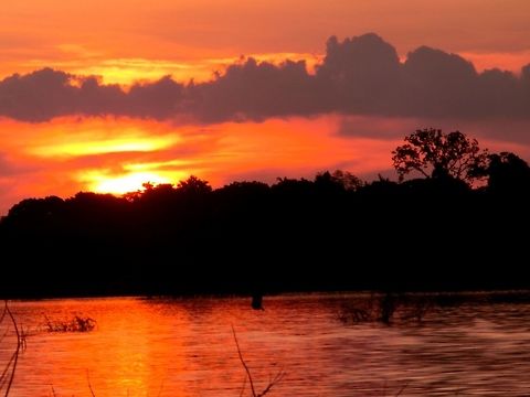 Sunset over the Amazon Rainforest They say that the sunsets in the Amazon Basin are the best in the world. I don't know if that is true, but they sure are spectacular! This one was over the Rio Negro. Amazon,Brazil,Geotagged,Rio Negro,Summer,Sunset