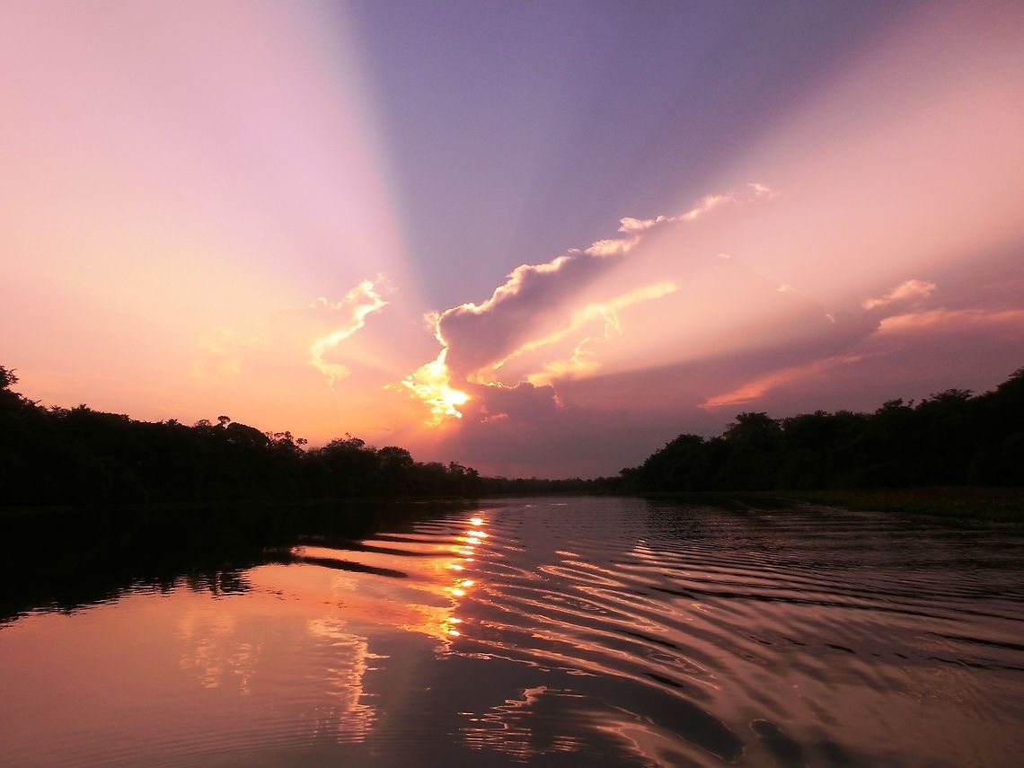 Sunset over Rio Negro tributary Another Amazonian sunset but I especially like how the rays of the sun are cast in different directions. Amazon,Brazil,Geotagged,Rio Negro,Summer,sunset