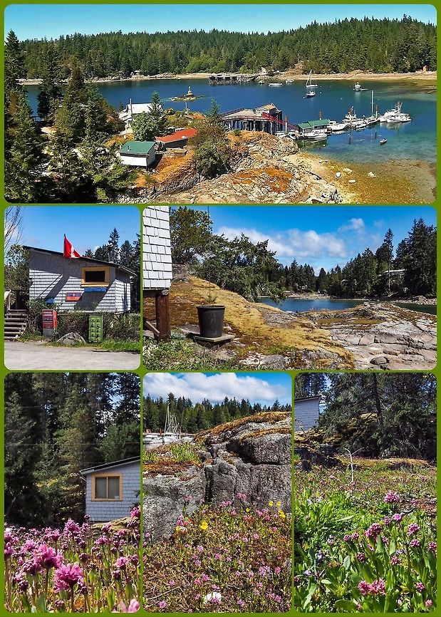 The Whaletown Post Office and Whaletown Bay The top photo was taken from a video shot from a small quadcopter in May 2015 at low tide, the rest of the photos in the montage were taken today. The post office is the green roofed building on the lower left in the aerial photo. Walking around the right side as you look at the PO from the road the moss covered rocks can be seen and at this time of year a place to admire the wild flowers. Out of interest our house is hidden amongst the trees right above and to the left of the post office. Canada,Geotagged