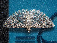 A Six Plume Moth This tiny, ~12mm wingspan, moth also has the common name of the Montana Six Plume moth. The larva feed on species of Lonicera of which there are native and introduced plants nearby. This Alucita montana was found resting on my weather station screen. I initially thought it was part of a new and unusual “icon”!<br />
https://www.jungledragon.com/image/88311/alucita_montana.html Alucita montana,Canada,Geotagged,Winter