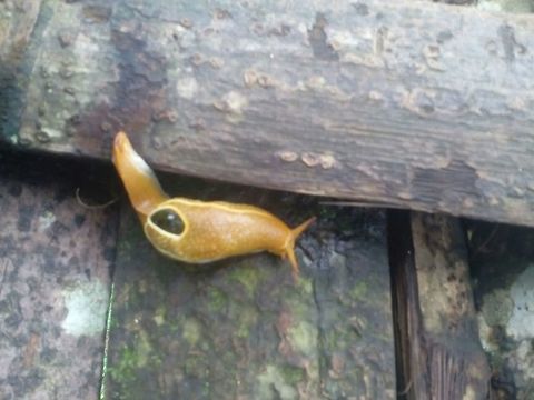 IMG-20160715-WA0019  Geotagged,India